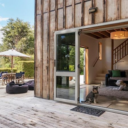 Beech Hill - Pet Friendly Holiday Home Tasman Kültér fotó
