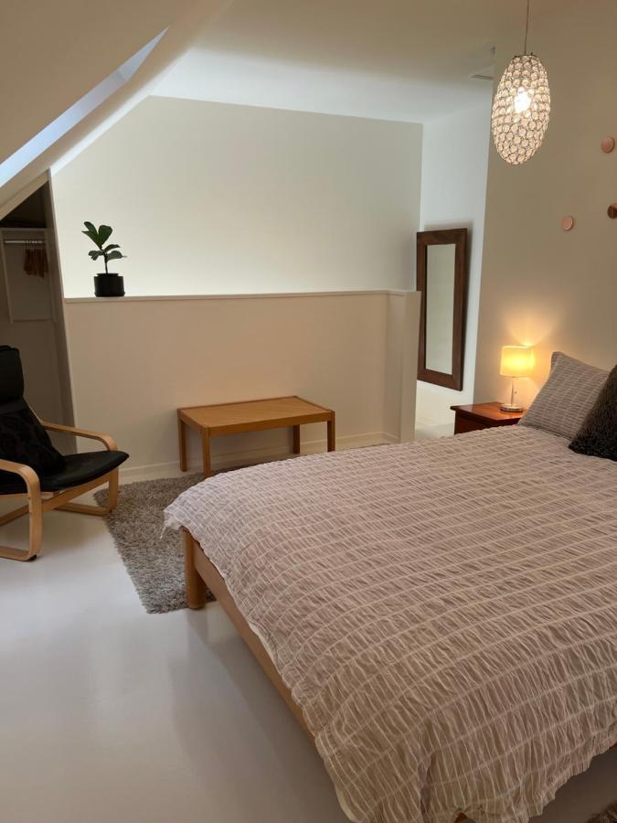 Beech Hill - Pet Friendly Holiday Home Tasman Kültér fotó