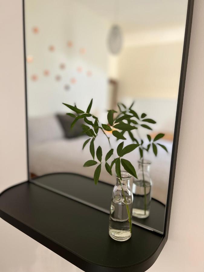 Beech Hill - Pet Friendly Holiday Home Tasman Kültér fotó