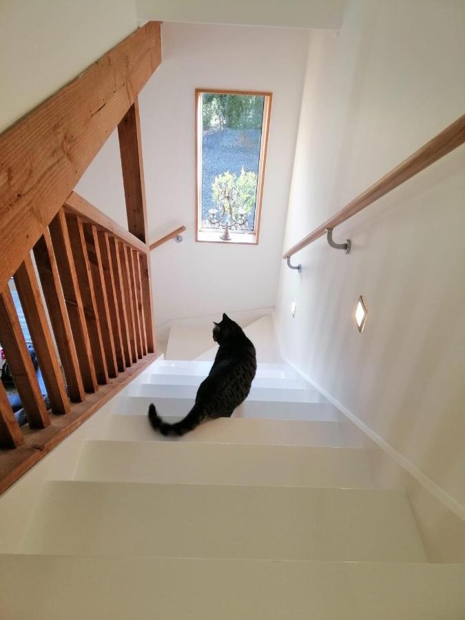 Beech Hill - Pet Friendly Holiday Home Tasman Kültér fotó