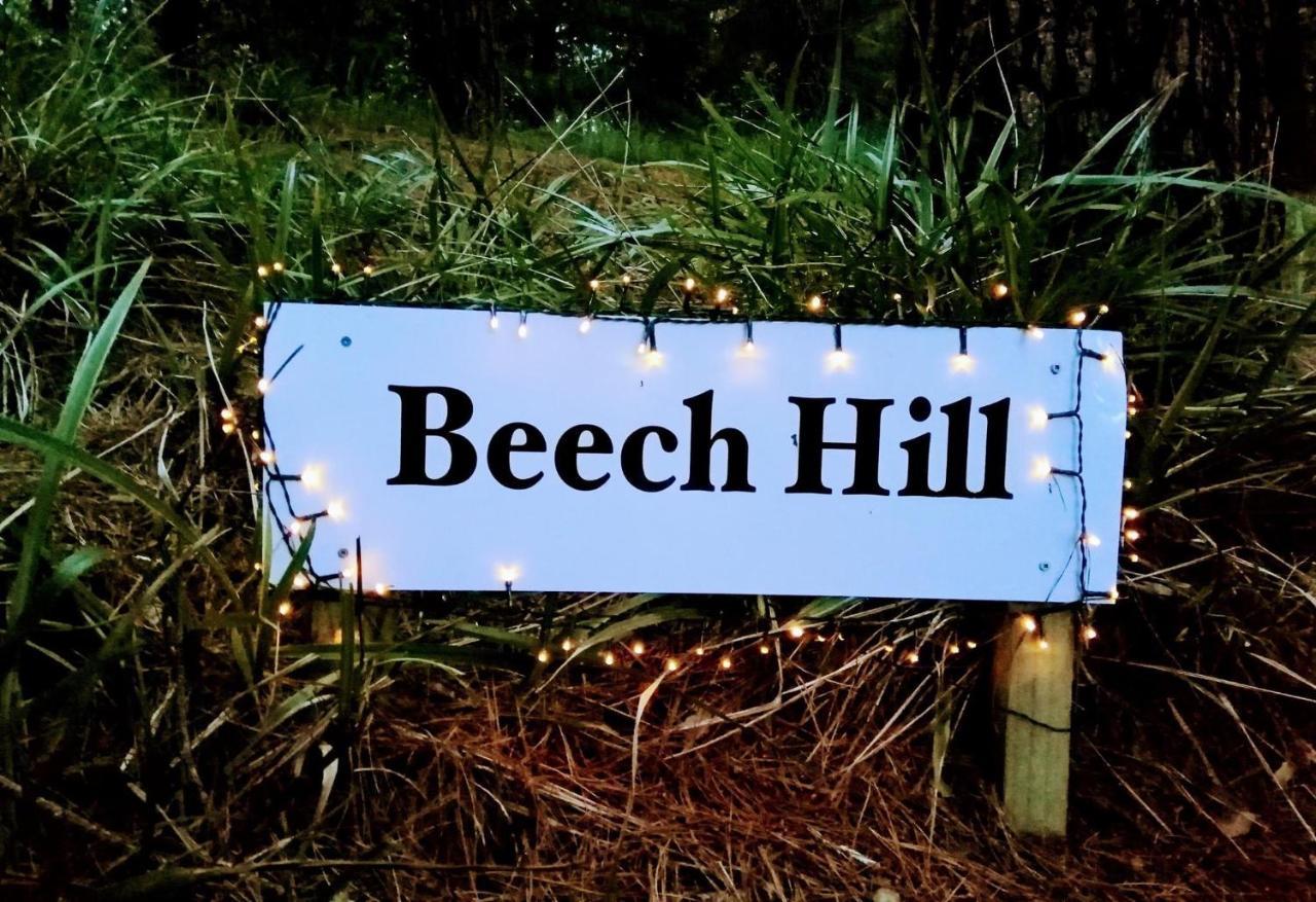 Beech Hill - Pet Friendly Holiday Home Tasman Kültér fotó