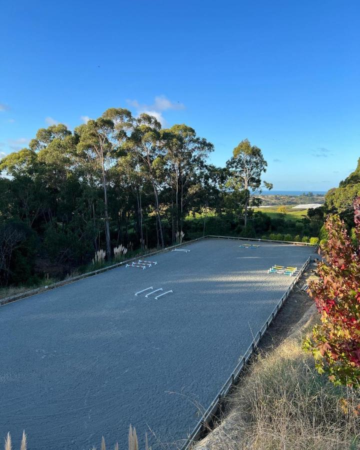 Beech Hill - Pet Friendly Holiday Home Tasman Kültér fotó