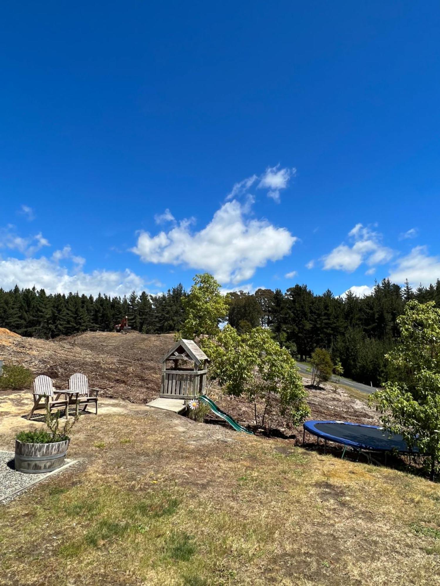Beech Hill - Pet Friendly Holiday Home Tasman Kültér fotó